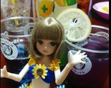バタフライピーティーꕤでミルクティー*.作り方1写真