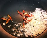 あさりとキャベツの酒蒸しペペロンチーノ風作り方4写真