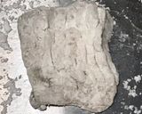 くず打ち松笠椀(アイナメ編)作り方3写真
