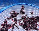 簡単 赤しそリメイク 〜ゆかり〜作り方1写真