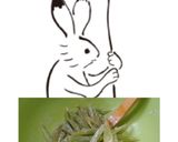 ずいきの下処理作り方11写真