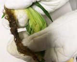 超簡単インスタ映えする蒸しとうもろこし作り方3写真