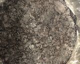シャインマスカットのレアチーズケーキ作り方2写真