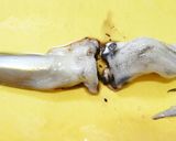 いかと大根の煮物。（電気圧力鍋10分）作り方2写真