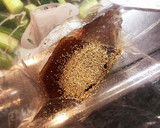 大量消費☆白ごま香る胡瓜の中華風漬物作り方3写真