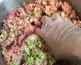 ケミカル三色餃子作り方10写真