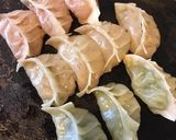ケミカル三色餃子作り方19写真