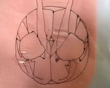 年少男の子弁当記録 仮面ライダーゼロワン作り方1写真