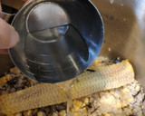 とうもろこしご飯作り方4写真