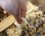 とうもろこしご飯作り方6写真