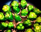 ずぼらの簡単崩れないピーマンの肉詰め作り方4写真
