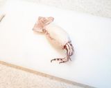 塩丸いかときゅうり&トマトのマヨサラダ♪作り方2写真