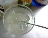 シークヮーサー香る沖縄風ジントニック作り方3写真
