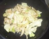 簡単野菜炒め。鶏むね肉、玉ねぎ、キャベツ作り方5写真