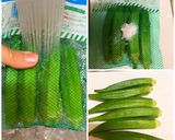 オクラの胡麻和え作り方1写真