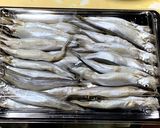 丸ごと食べるカルシウムたっぷりシシャモ作り方1写真