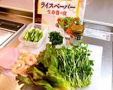 バーニャカウダ梅で食べる生春巻き作り方1写真