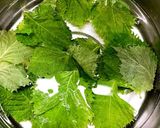 大量大葉を長持ちさせる方法作り方1写真