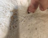 ピザ生地作り方8写真
