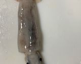 スルメイカの捌き方(刺身編)作り方3写真