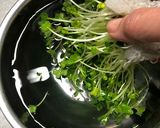 貝割れ大根のタネが簡単に♪作り方1写真
