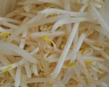 本格もやしナムル！作り方1写真