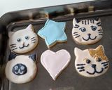 猫のアイシングクッキー作り方18写真