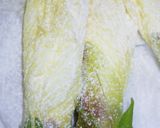 旬の大人の味！花オクラの天ぷら作り方2写真