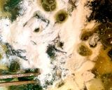 10分で完成! 美肌モロイモカレー♪作り方6写真
