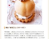 まるごと桃とヨーグルトのシャーベット作り方11写真