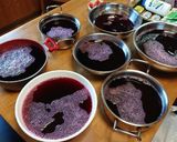 ２倍濃縮！しそジュース♪作り方23写真