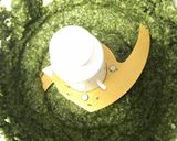 低糖質「グリル野菜とバジルペースト」作り方2写真