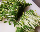 節約おかず☆もやしと豆苗のお浸し作り方2写真