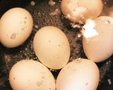 やわらか梅酒チャーシューとほろほろ味玉作り方4写真