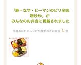 豚・なす・ピーマンのピリ辛味噌炒め作り方7写真