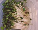 きのこ たくさん！ガーリック和風パスタ作り方9写真