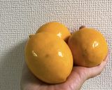 爽やかレモンのベーグル作り方1写真