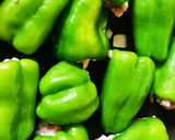 ピーマンの肉詰め作り方5写真