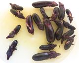 簡単！我が家の小なすのお漬物☆作り方2写真