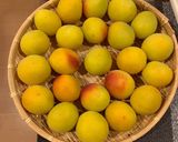 失敗しない！低塩 白梅干し作り方1写真