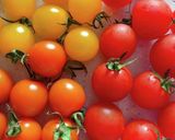 ミニトマトのマリネサラダ作り方1写真