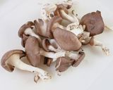 一番おいしいひらたけの食べ方～天ぷら～作り方1写真