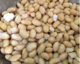 15分!時短節約!大豆の煮豆作り方1写真