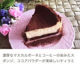 バスク風チーズケーキ♡バスチー作り方22写真