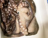 【基本】真蛸の茹で方作り方1写真