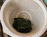 1年寝かして飲む、甘くない紫蘇ジュース作り方4写真