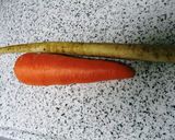 新ごぼうのきんぴら作り方1写真