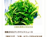 大葉を簡単に切る方法作り方9写真