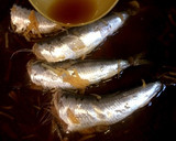 イワシの生姜煮♪さっぱりお酢で作り方6写真