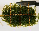 刻み昆布の煮物(竹輪ver.)作り方2写真
